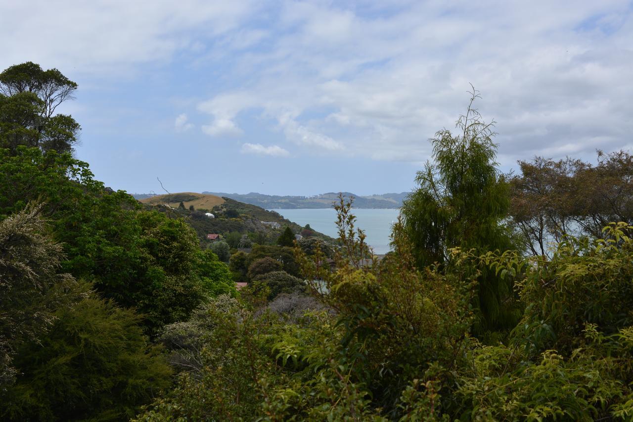 Treetops Cottage At The Castle Whitianga Buitenkant foto